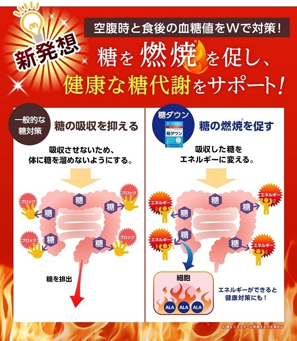 ALAアラの糖のエネルギー化メカニズム、血糖値上昇抑制アラALA